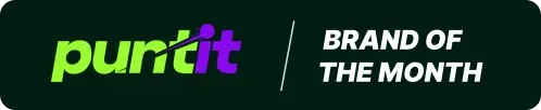 puntit logo